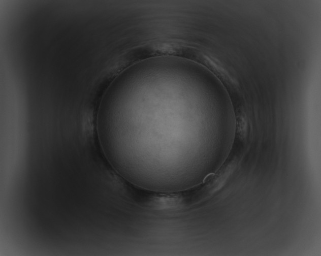 X0000100890466200806241235