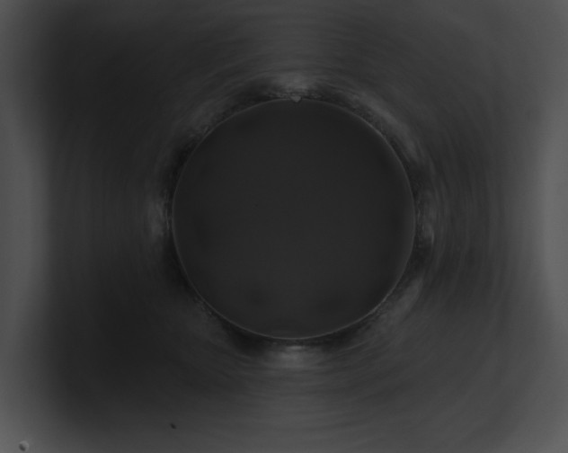 X0000100890467200806241235