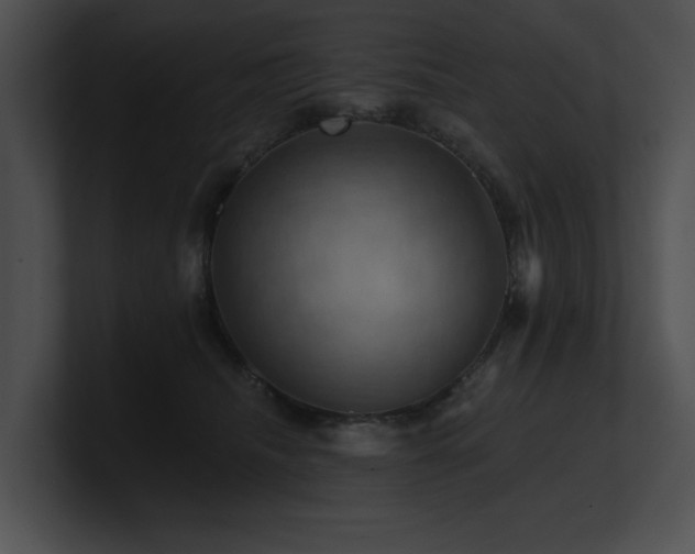 X0000100890468200806241235
