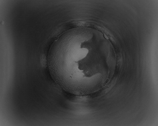 X0000100890469200806241235