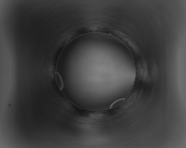 X0000100890470200806241235