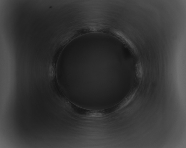X0000100890471200806241235