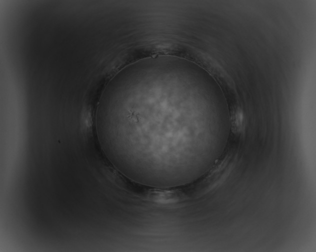 X0000100890472200806241235