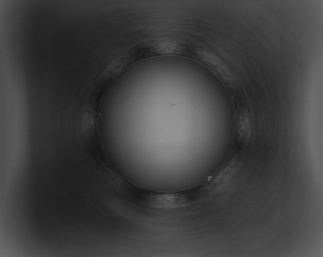 X0000100890473200806241235
