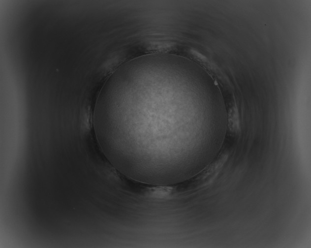 X0000100890474200806241235