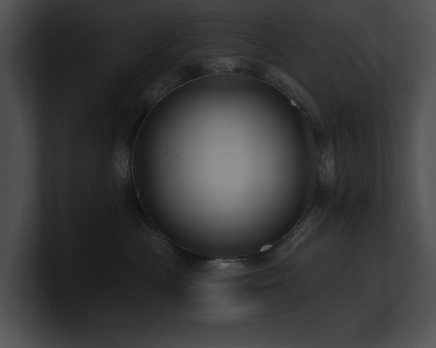 X0000100890477200806241235