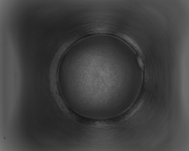 X0000100890481200806241234