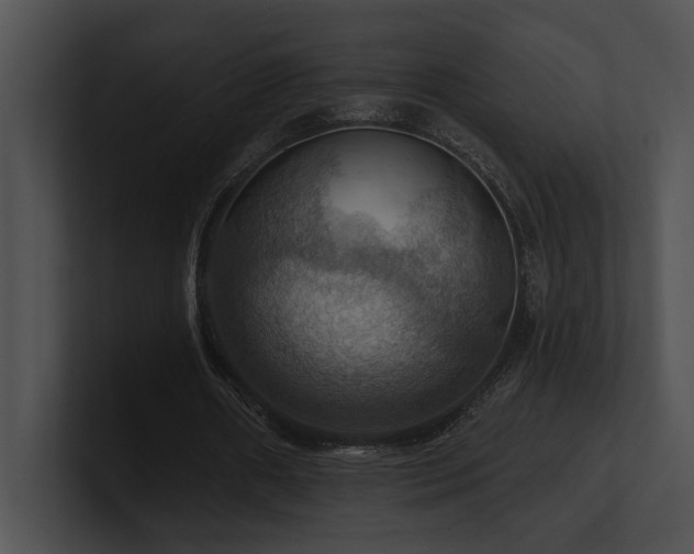 X0000100890482200806241234