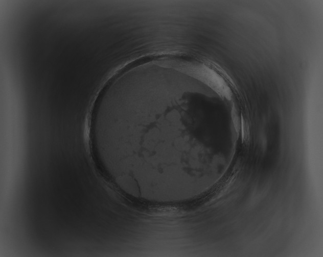 X0000100890483200806241234