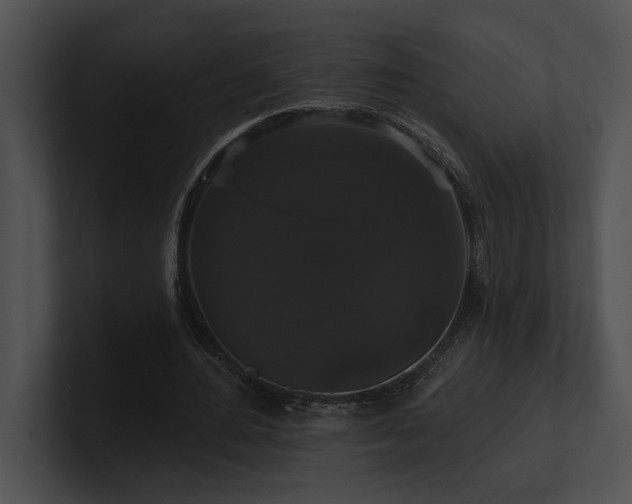 X0000100890484200806241234