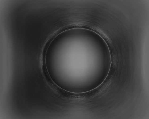 X0000100890486200806241234