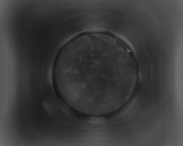 X0000100890487200806241234