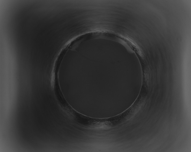 X0000100890488200806241234