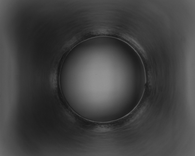 X0000100890489200806241234