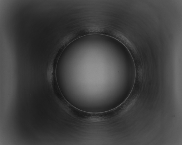 X0000100890490200806241234