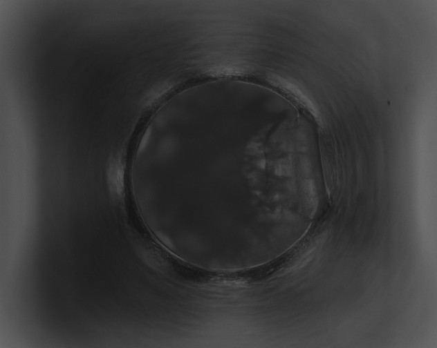 X0000100890491200806241234