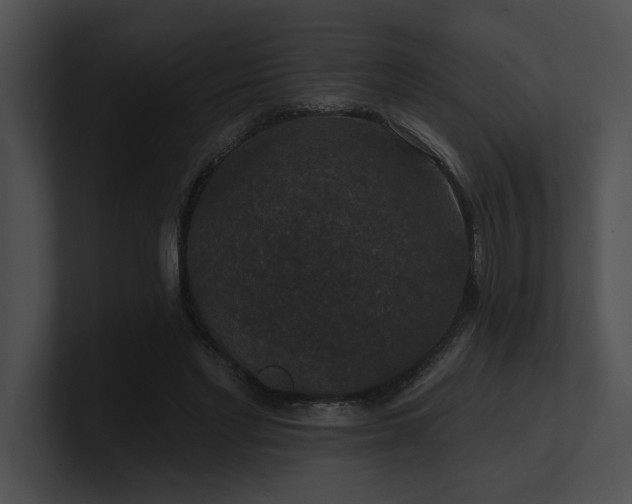X0000100890493200806241234