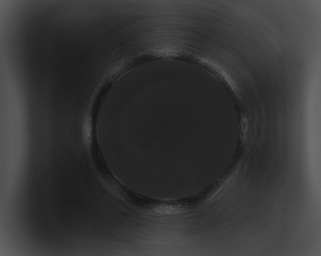 X0000100890494200806241234