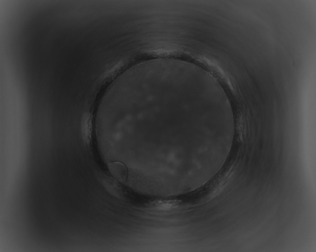 X0000100890495200806241234