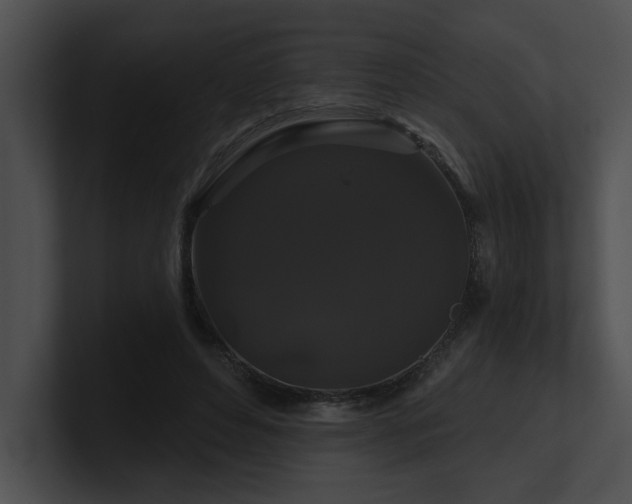 X0000100890496200806241234
