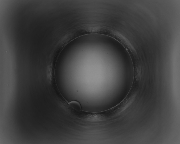X0000100890497200806241234