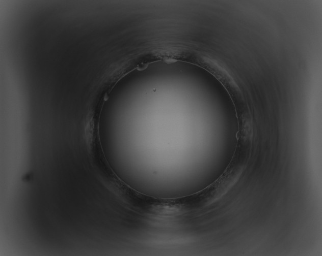 X0000100890498200806241234