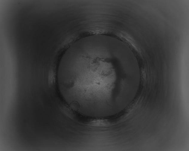 X0000100890499200806241234