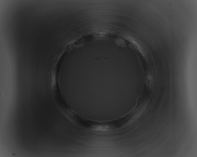 X0000100890500200806241234
