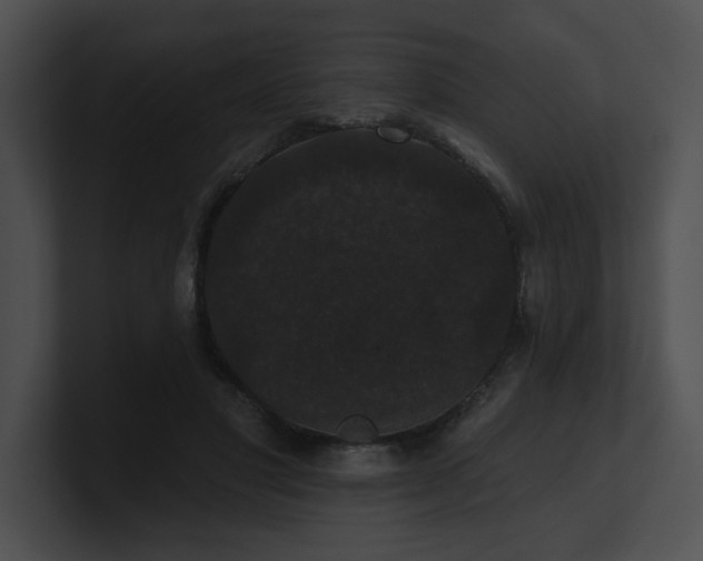 X0000100890501200806241234