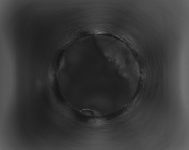 X0000100890503200806241234