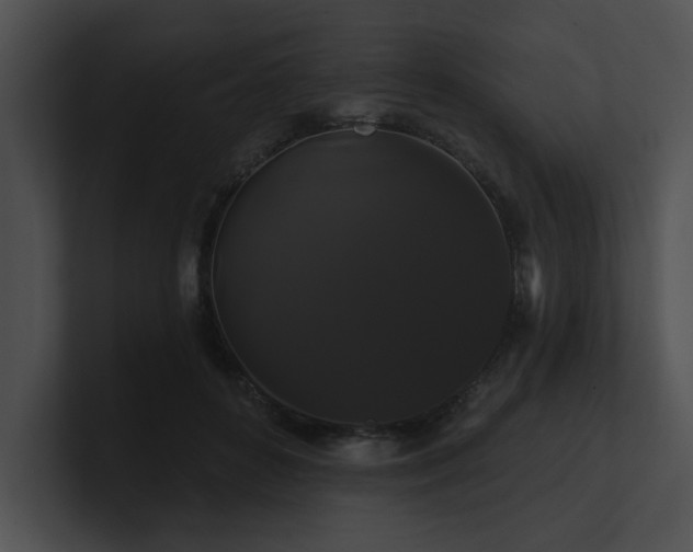 X0000100890504200806241234