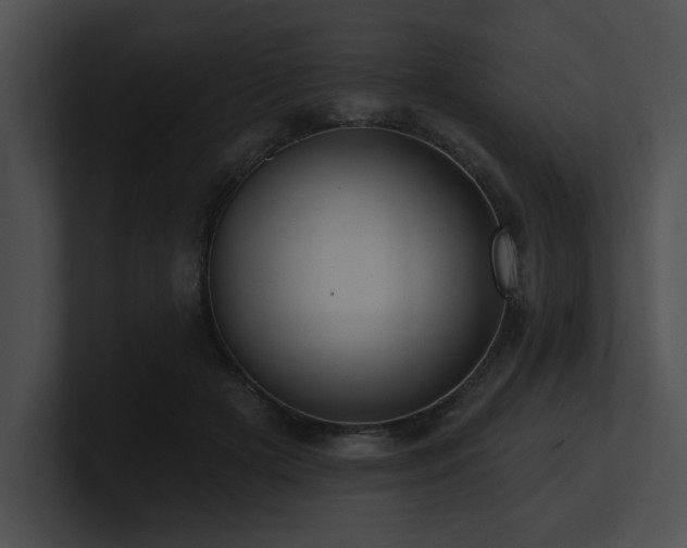 X0000100890505200806241234