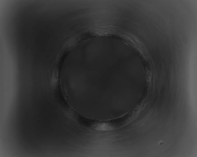 X0000100890507200806241234