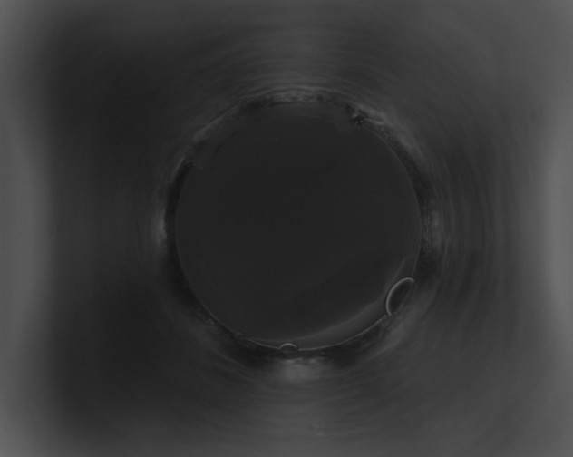 X0000100890508200806241234