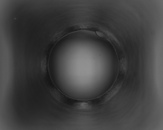X0000100890509200806241234