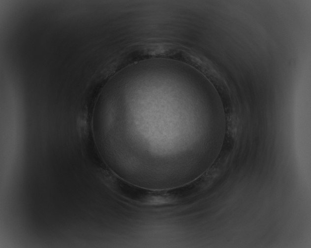 X0000100890510200806241234