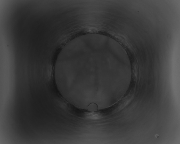 X0000100890511200806241234