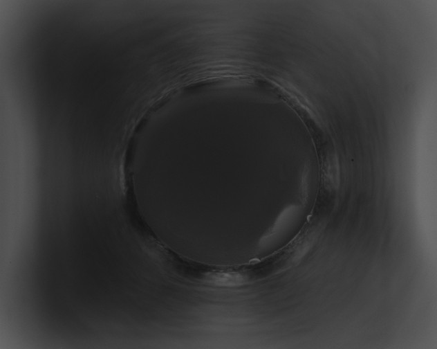 X0000100890512200806241234