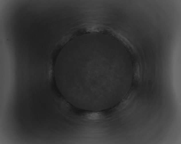 X0000100890513200806241234