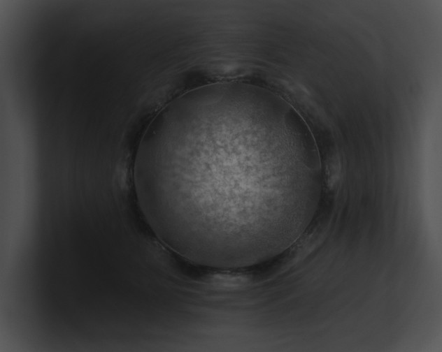 X0000100890515200806241234