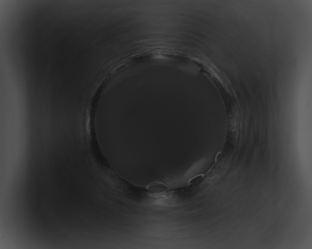 X0000100890516200806241234