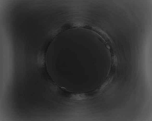 X0000100890517200806241234