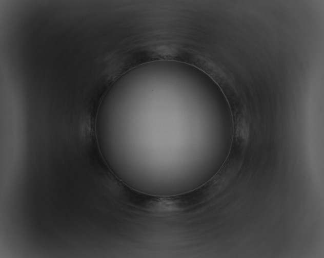 X0000100890518200806241234