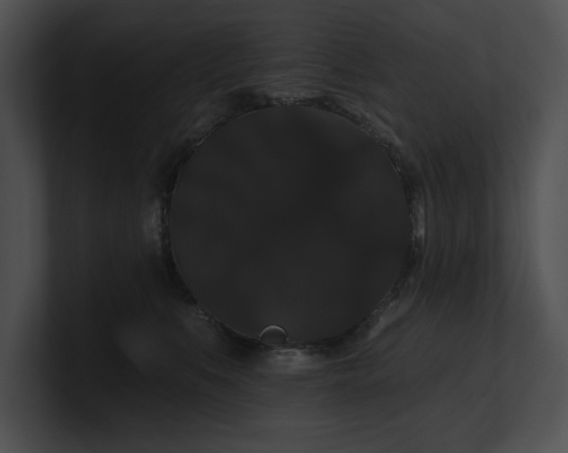 X0000100890519200806241234