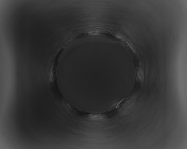 X0000100890520200806241234