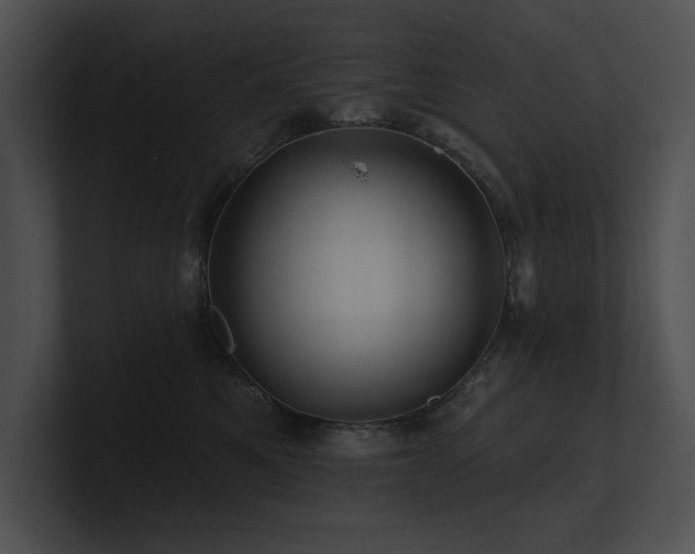 X0000100890521200806241234
