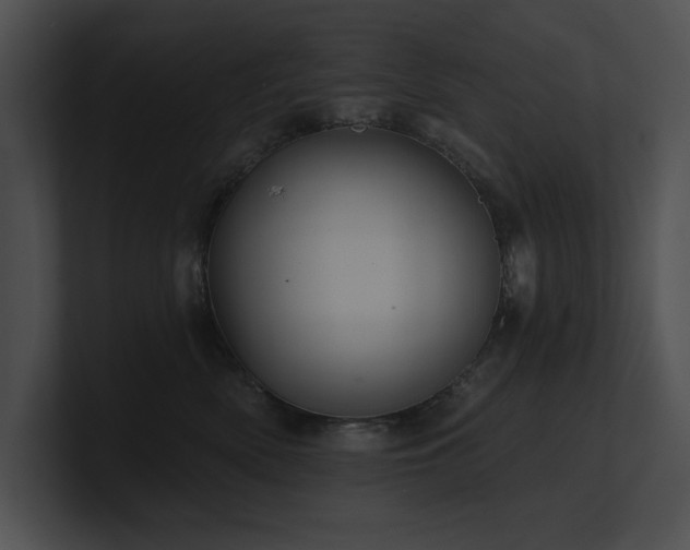 X0000100890522200806241234