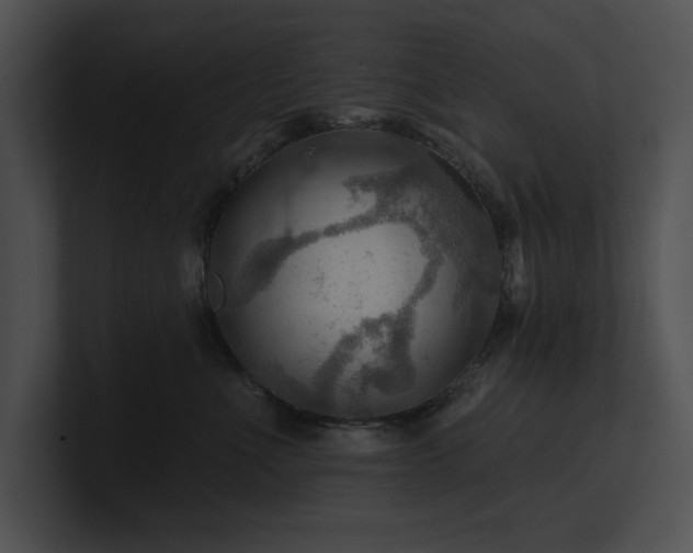X0000100890523200806241234