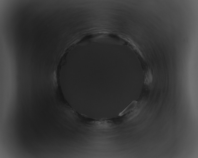 X0000100890524200806241234