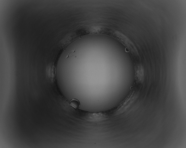 X0000100890525200806241234